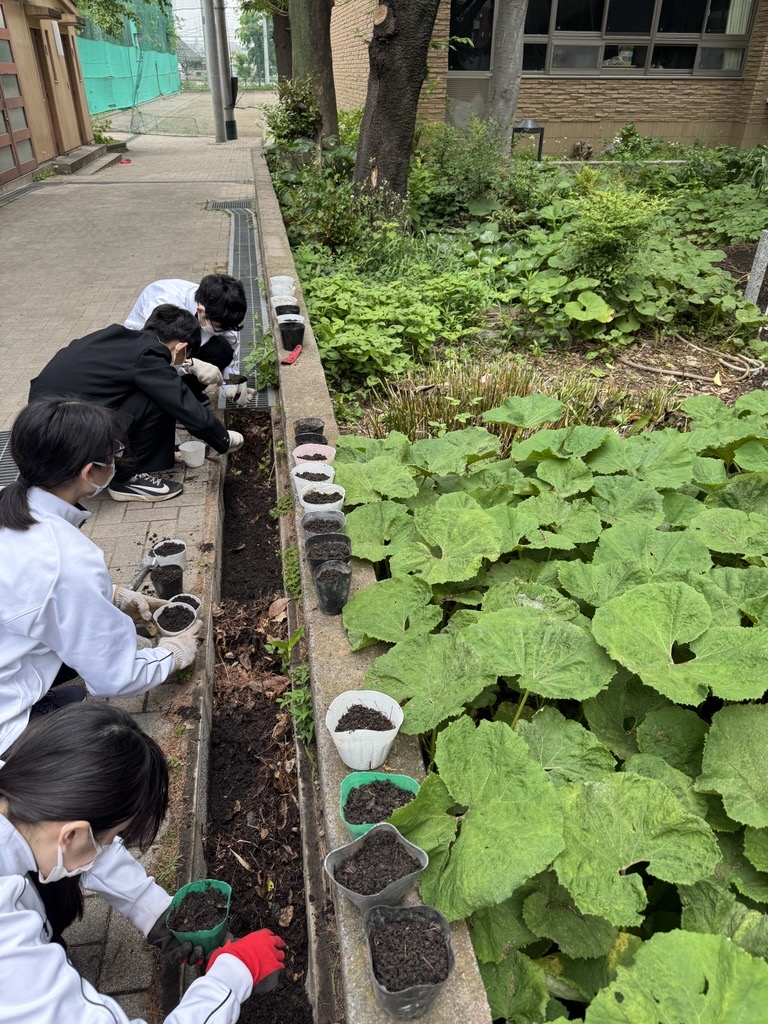 Image - 2026-04-30T105313.976